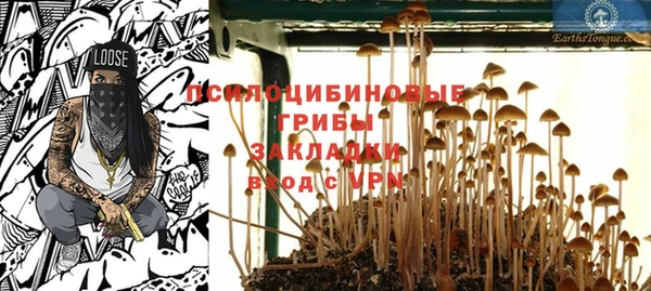МДПВ Белокуриха