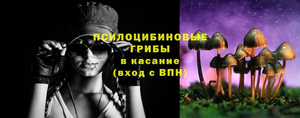 МДПВ Белокуриха