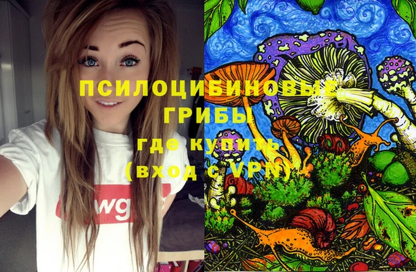 МДПВ Белокуриха