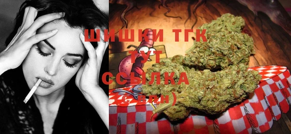гашик Белоозёрский