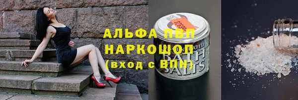 гашик Белоозёрский